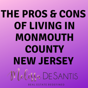 Top Monmouth County Realtor