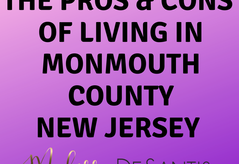 Top Monmouth County Realtor