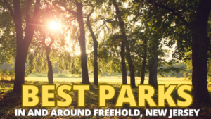 Best Parks in Freehold New Jersey