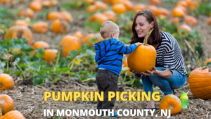 Pumpkin Picking in Monmouth County NJ