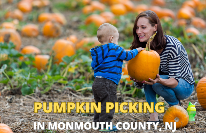 Pumpkin Picking in Monmouth County NJ