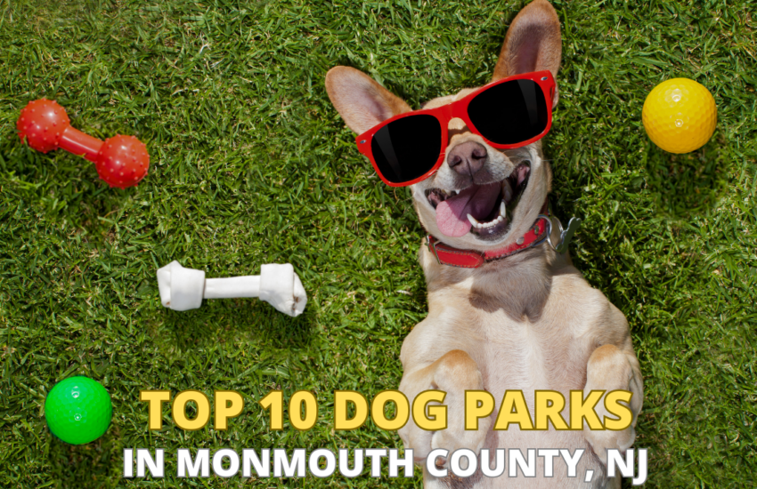 Top 10 Dog parks in Monmouth County