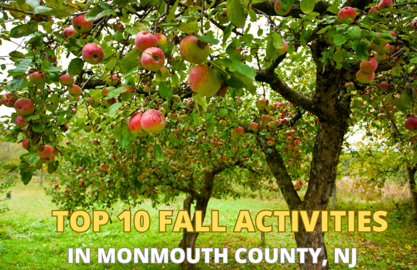 Top 10 Fall Activities in Monmouth CO New Jersey