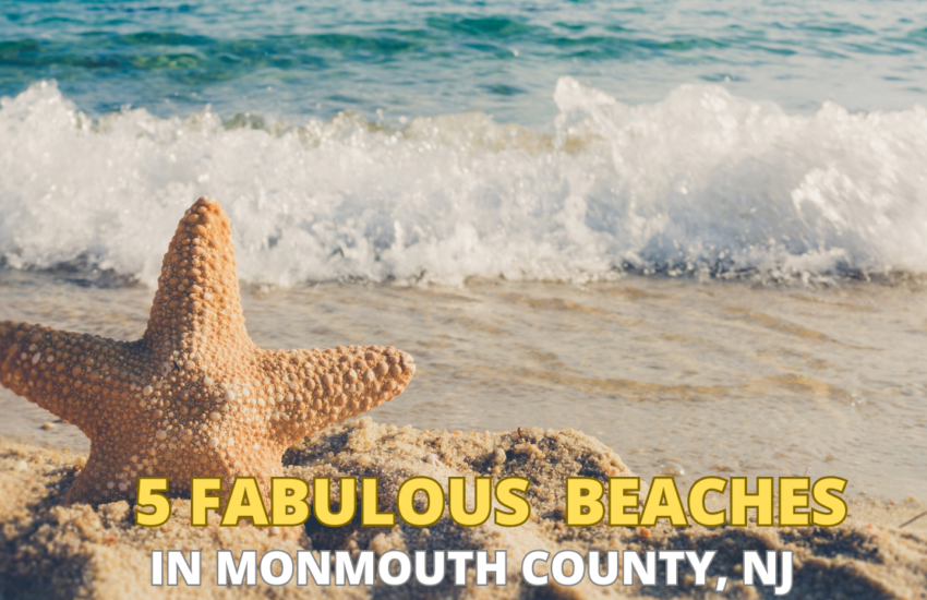 Top 5 Beaches near Monmouth County, NJ